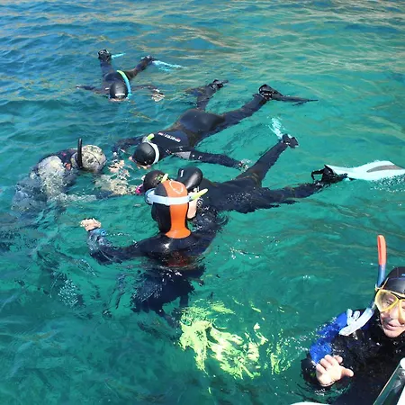 Casa Vinhas 3* Сесимбра